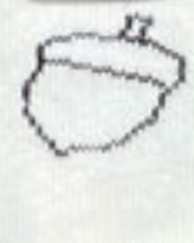 سفید طرح بلوط